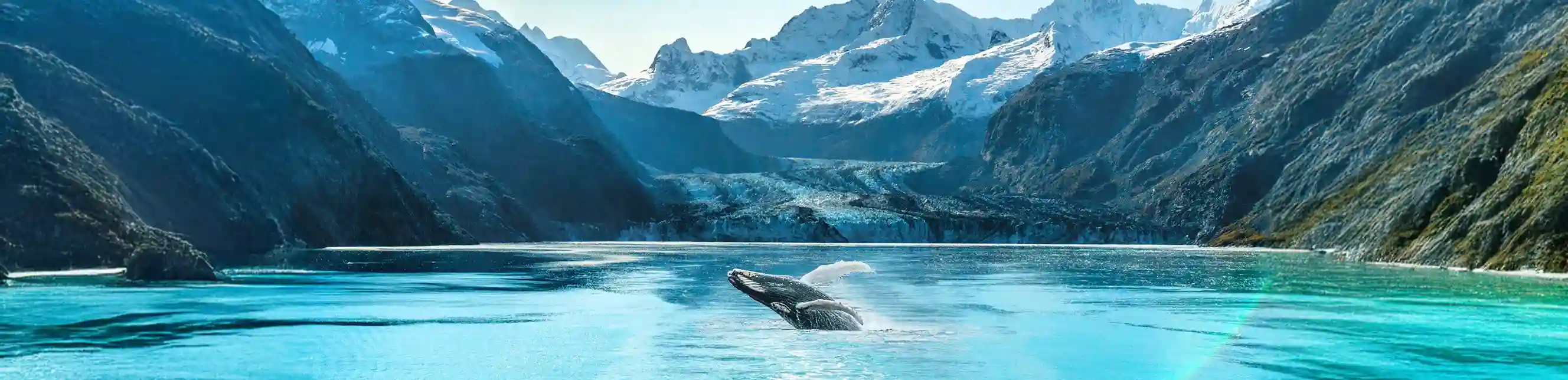Vista aérea de playa en Zanzíbar