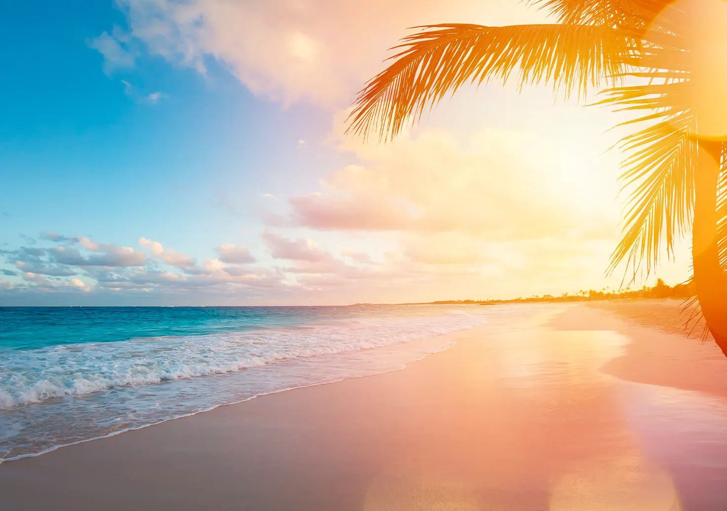 Velero tradicional dhow