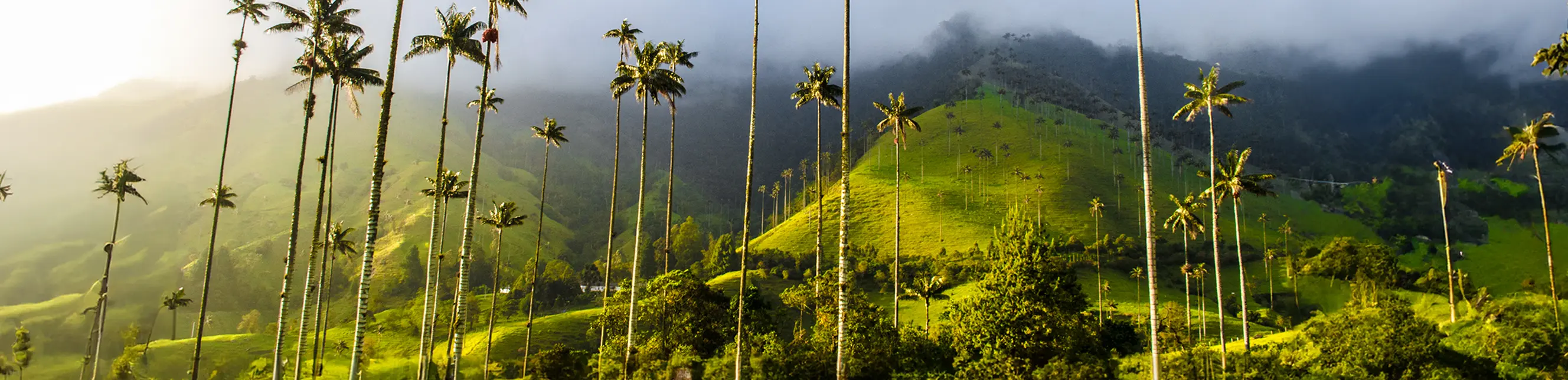 Platos típicos de Colombia