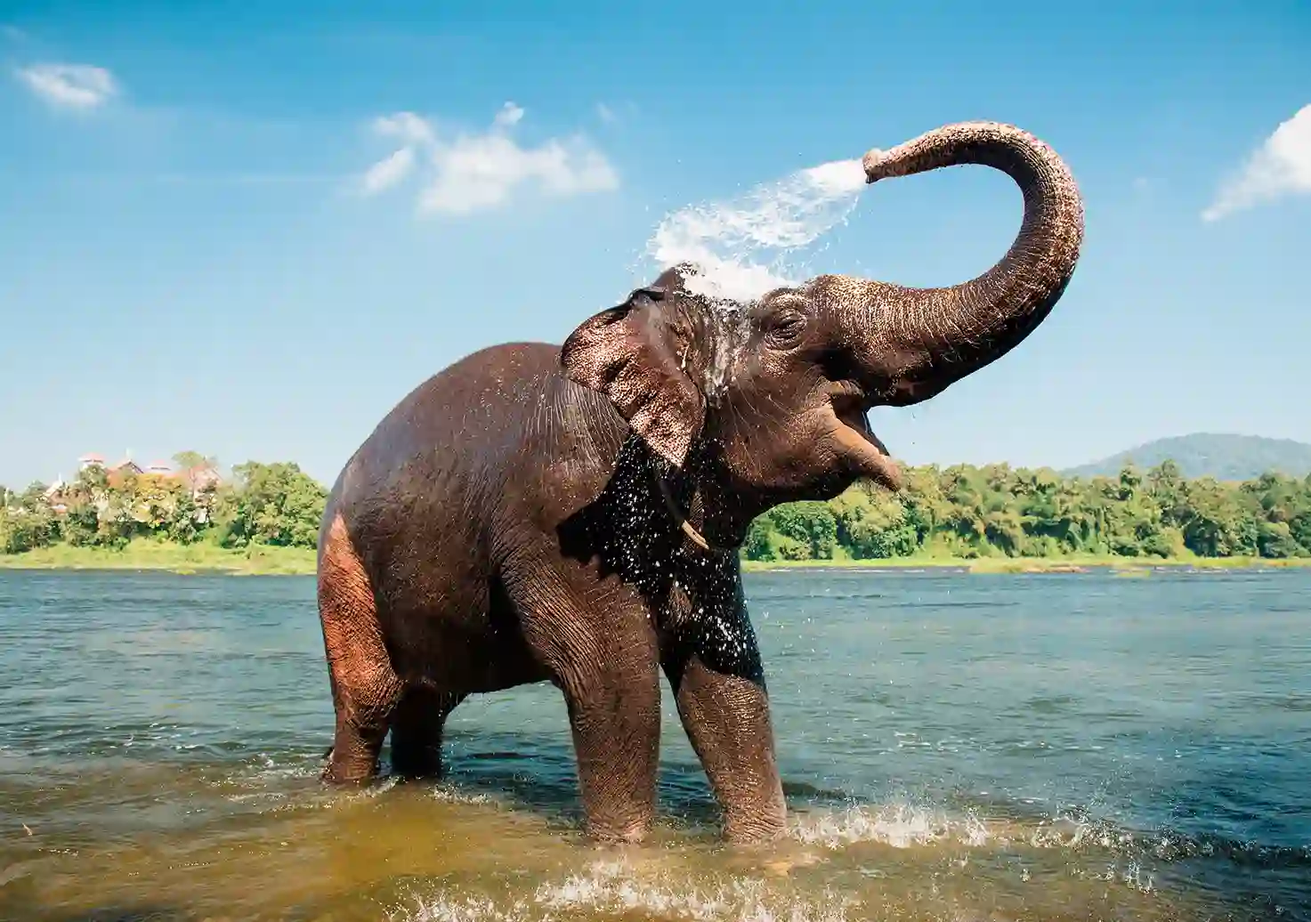Playa de aguas turquesas en Zanzíbar