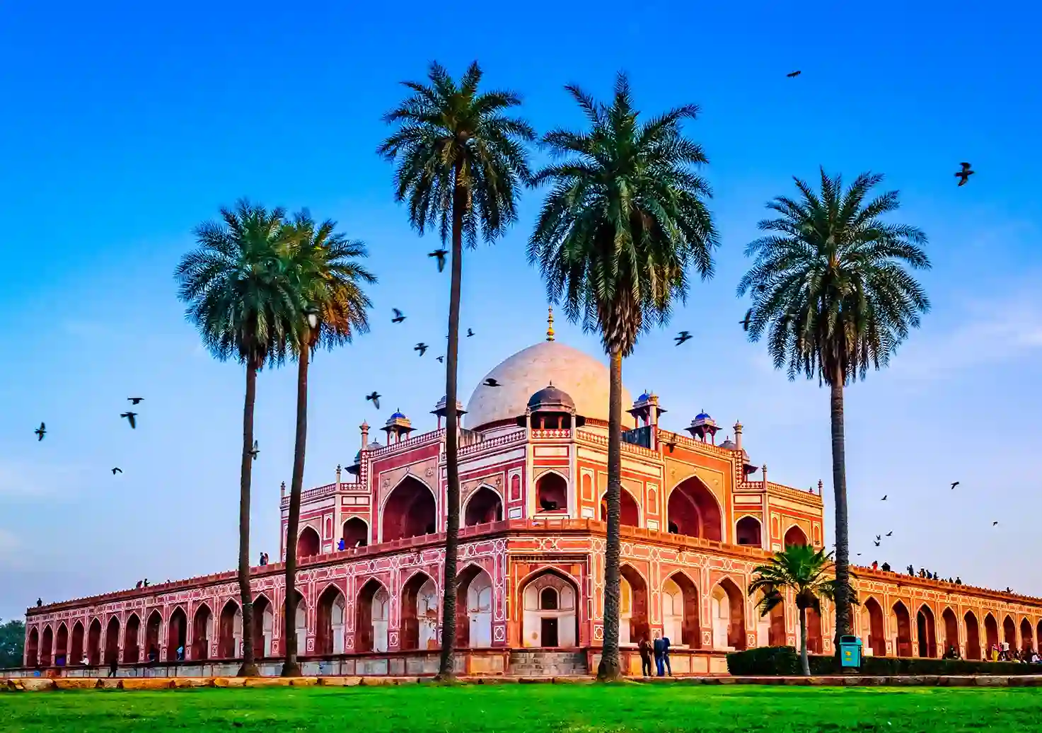 Velero tradicional dhow