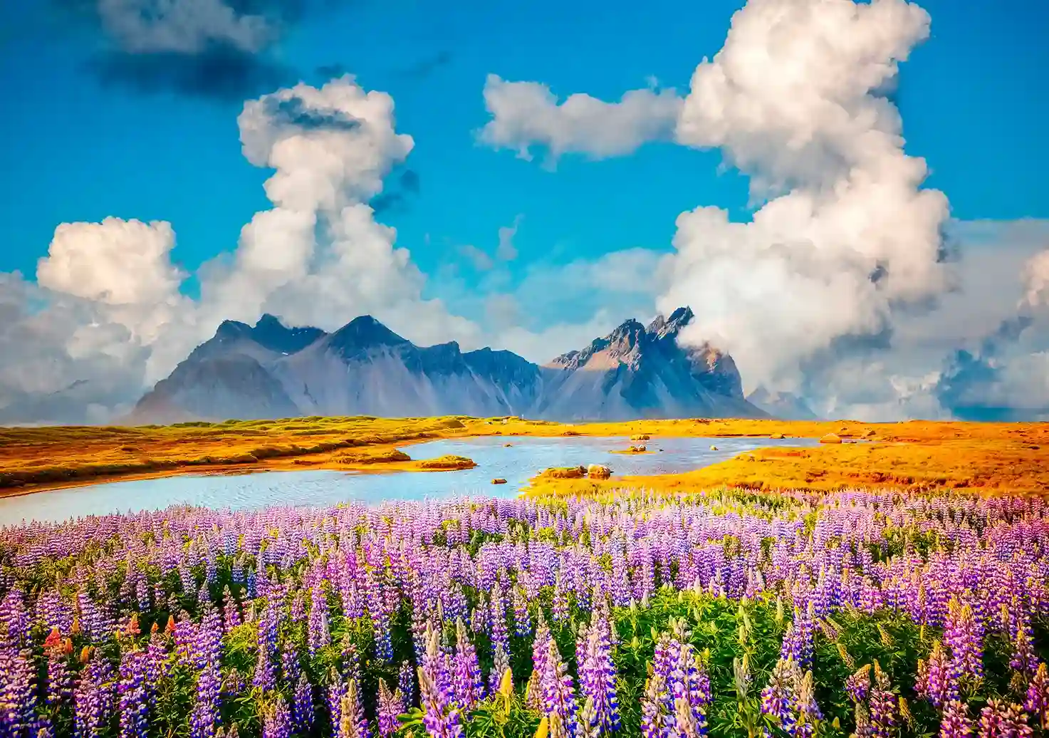 Playa de aguas turquesas en Zanzíbar