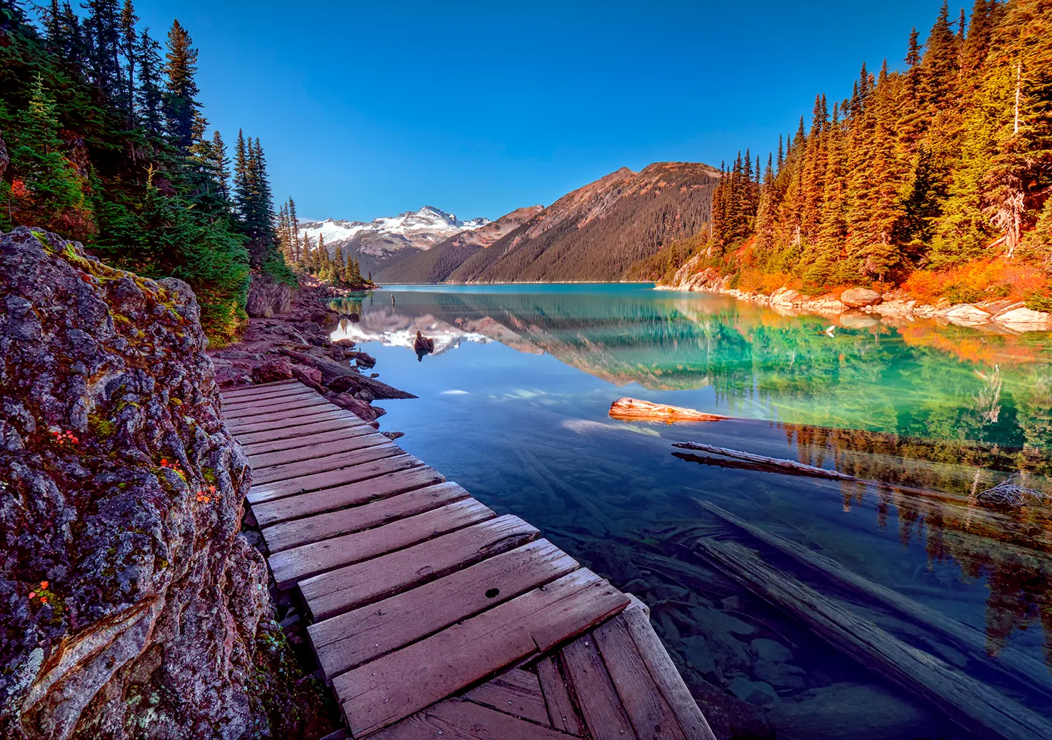 Velero tradicional dhow