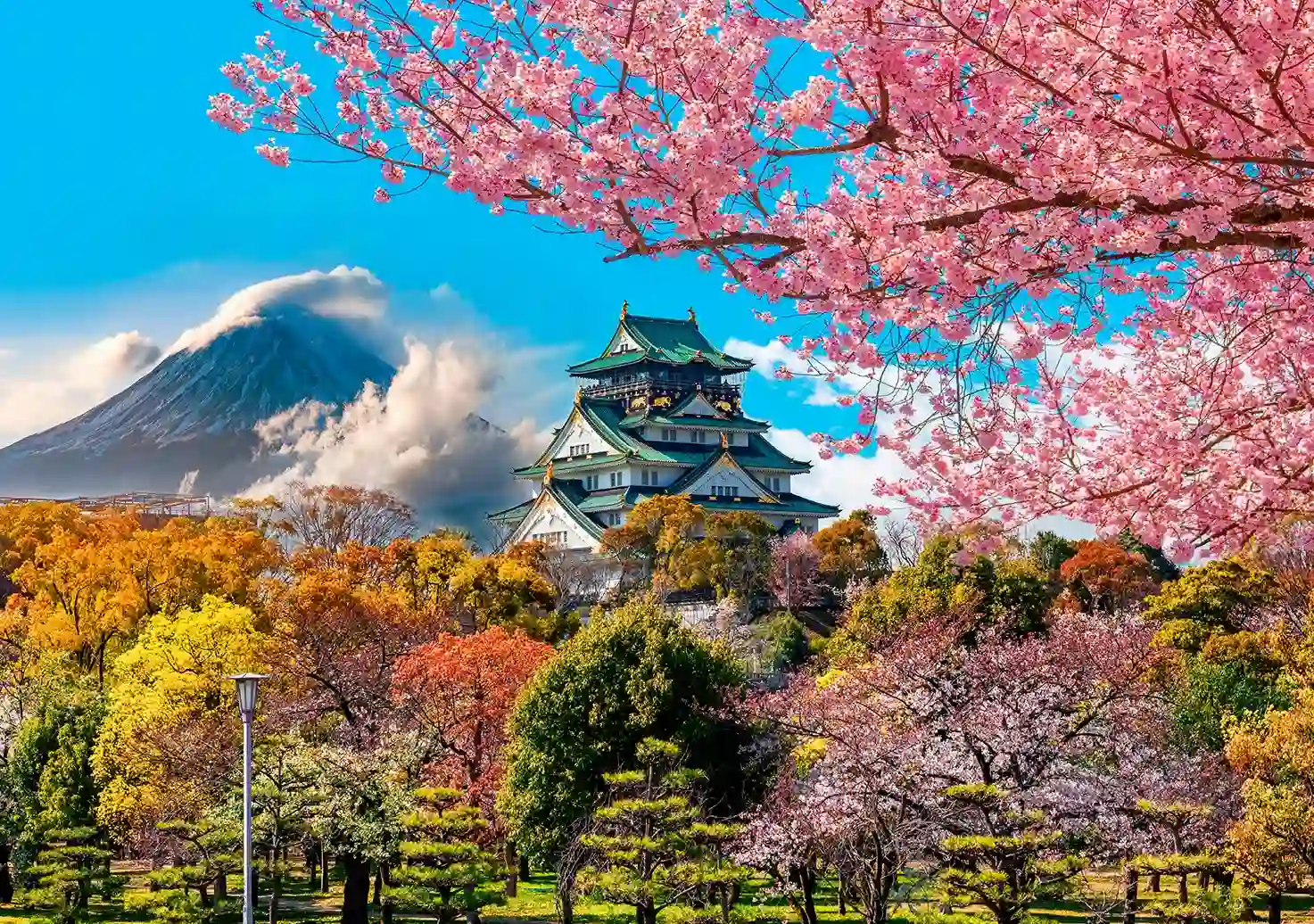 Migración en Serengeti