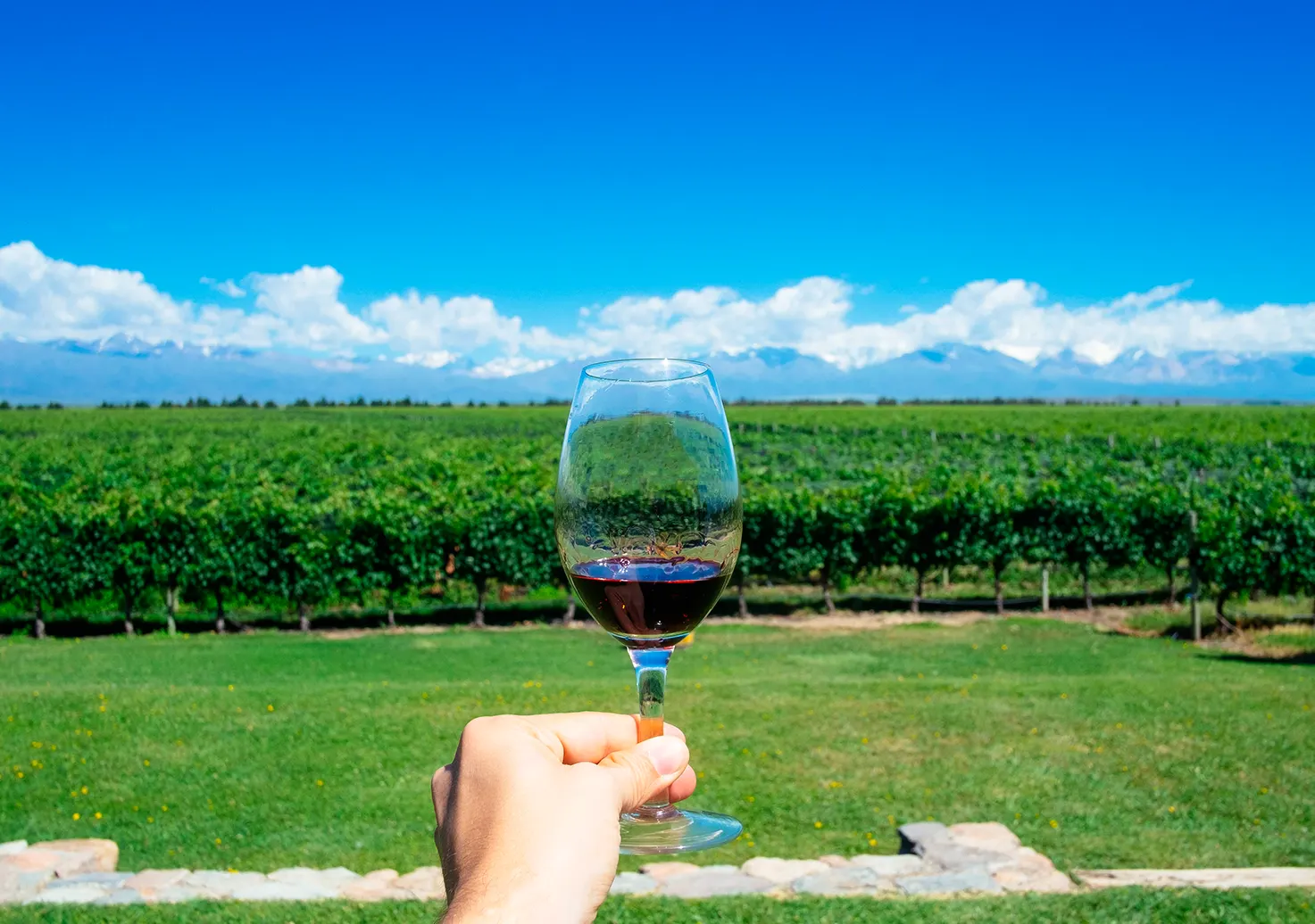 Copa de vino Malbec en bodega mendocina