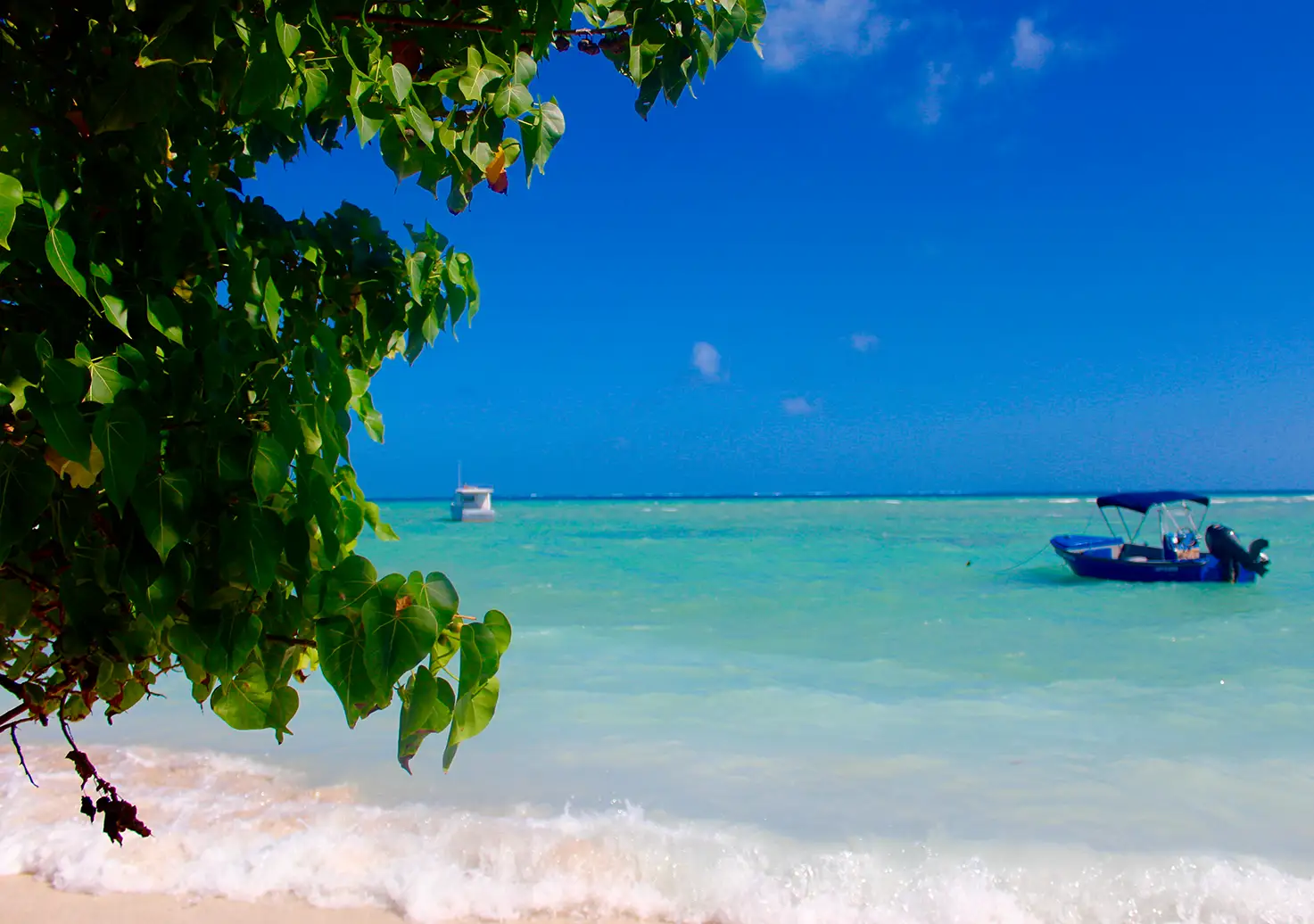 Familia disfrutando de playa y mar Caribe