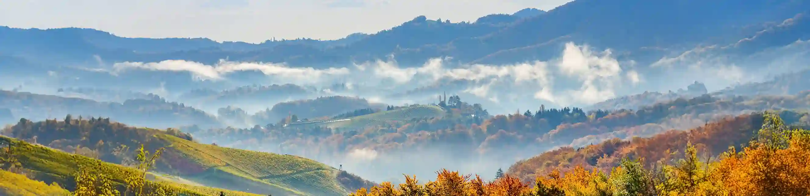 Vista panorámica del lago Bled