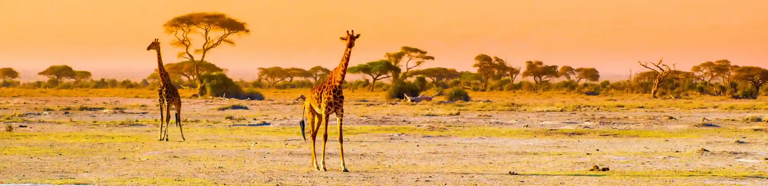 Vista aérea de Cataratas Victoria