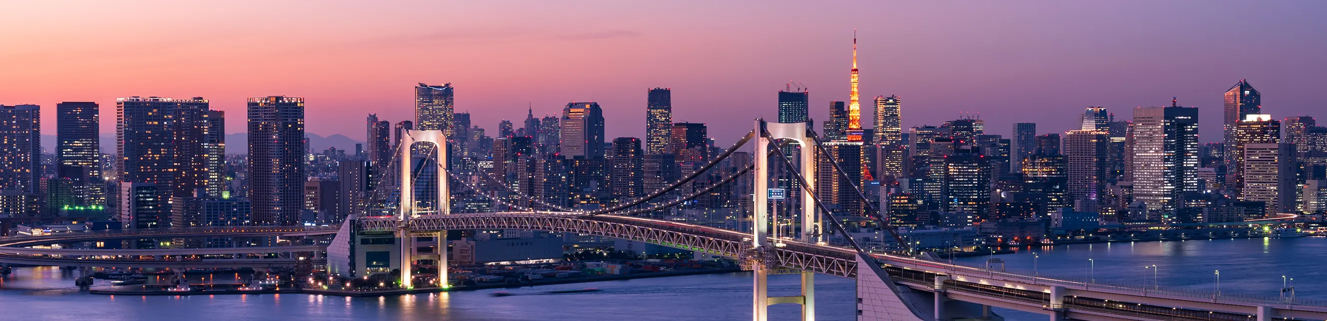 Consejos y pasos para rastrear su equipaje