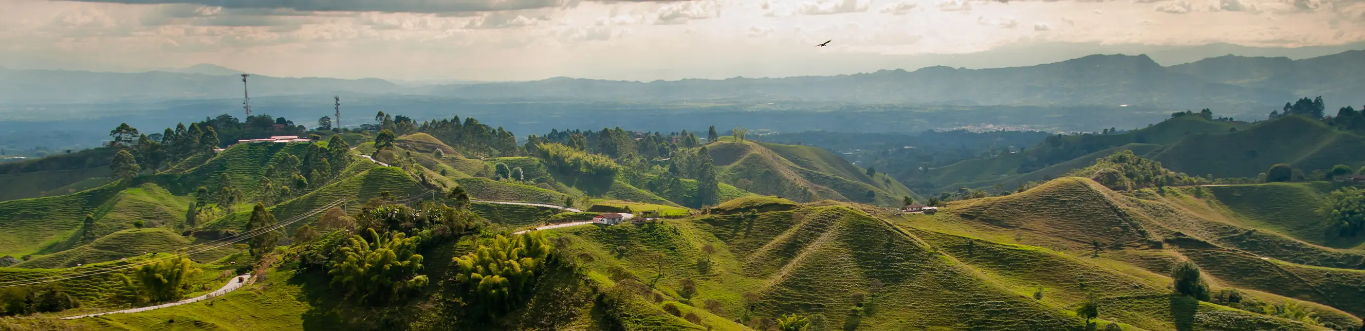 Paisaje de montañas en Pereira Con Aviatur
