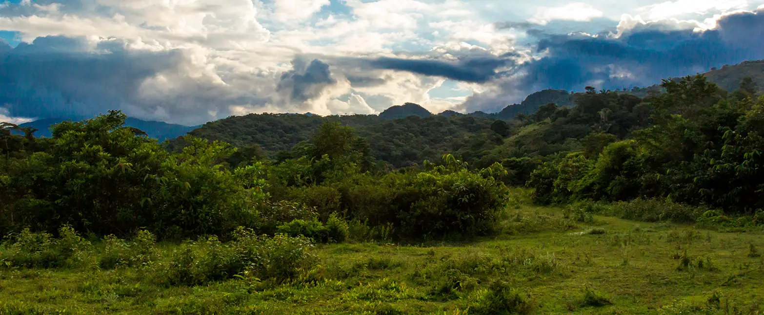 Paisaje de Villavicencio