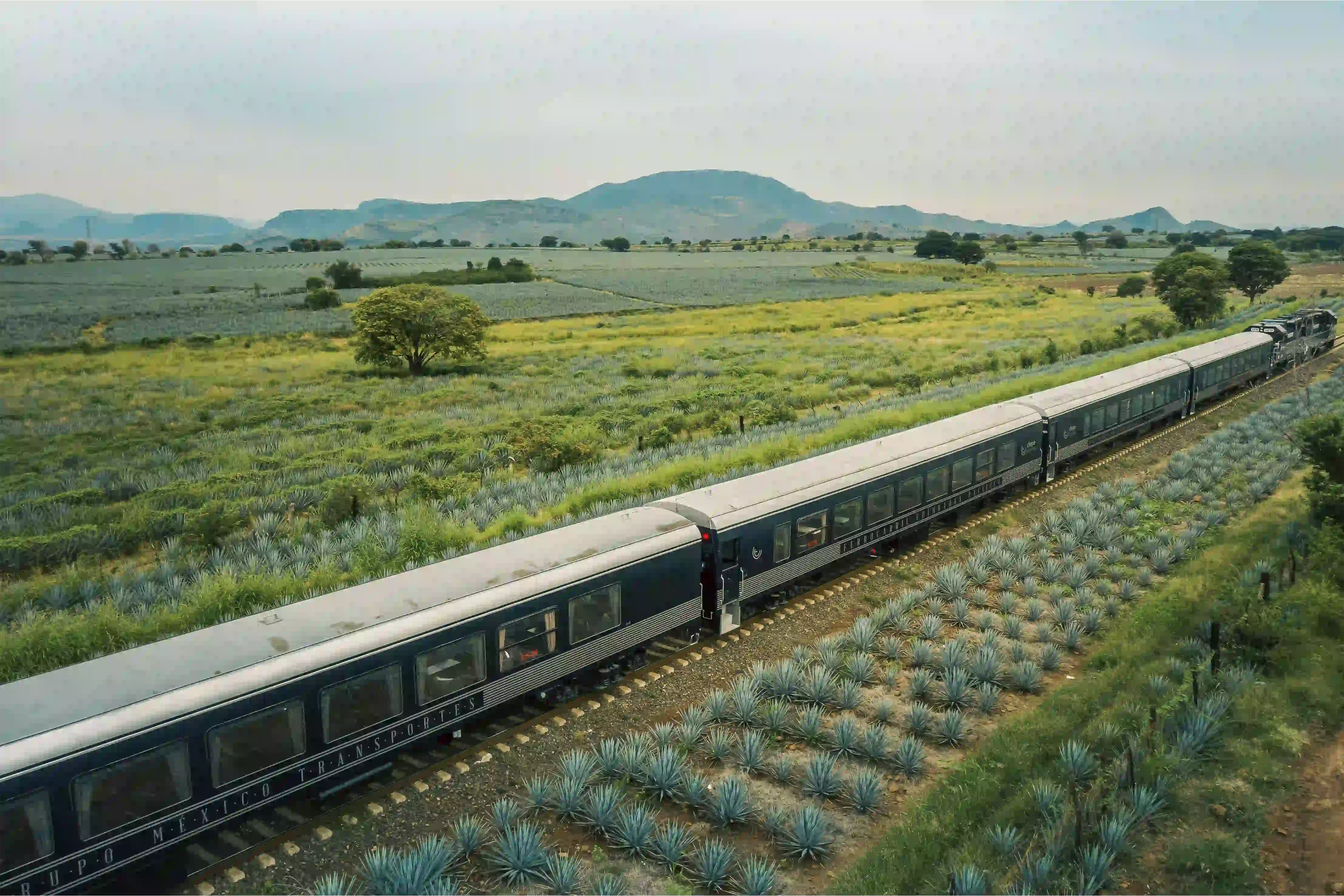 Tren de Guadalajara