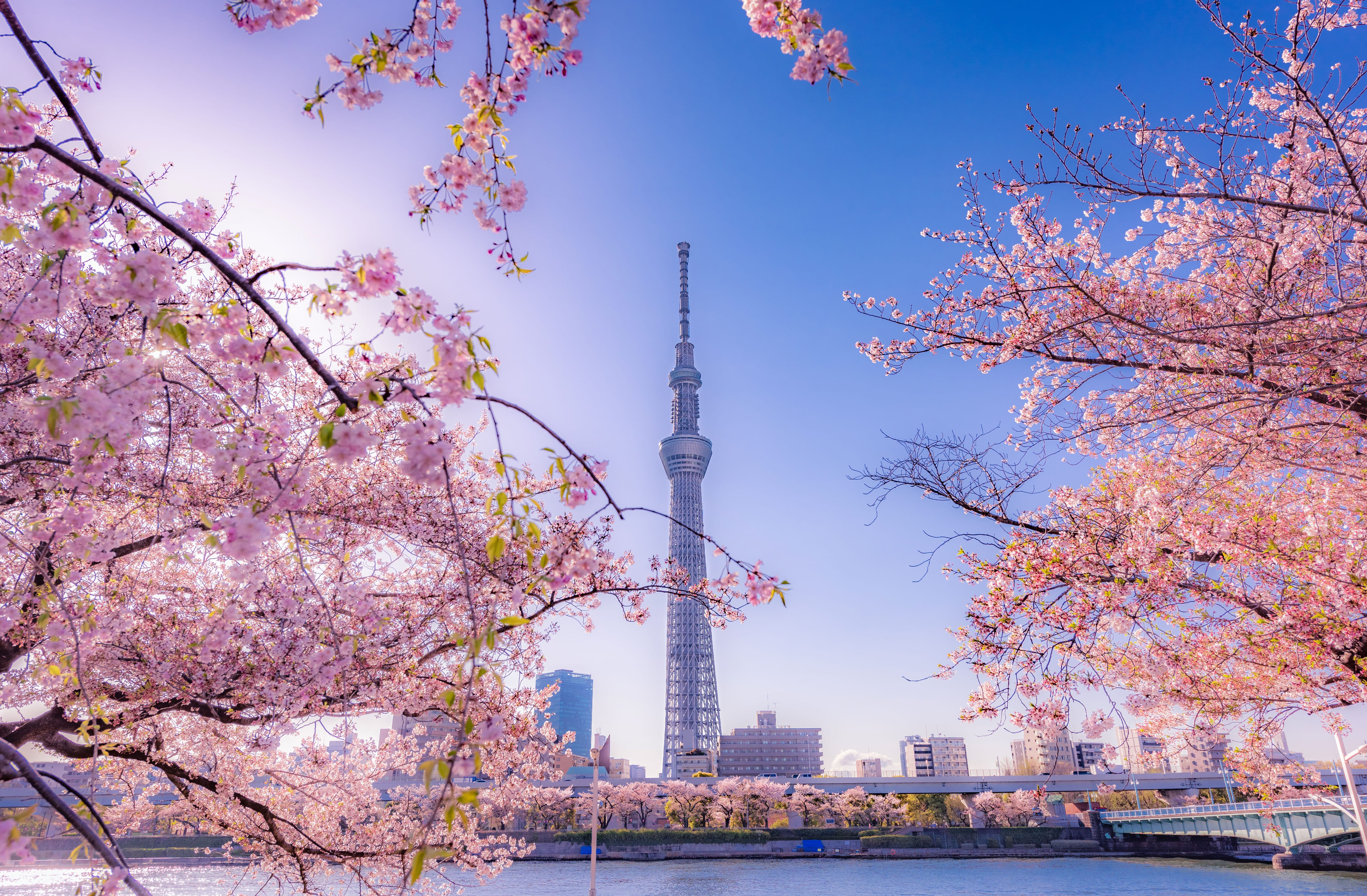 Lugares para visitar en Tokio