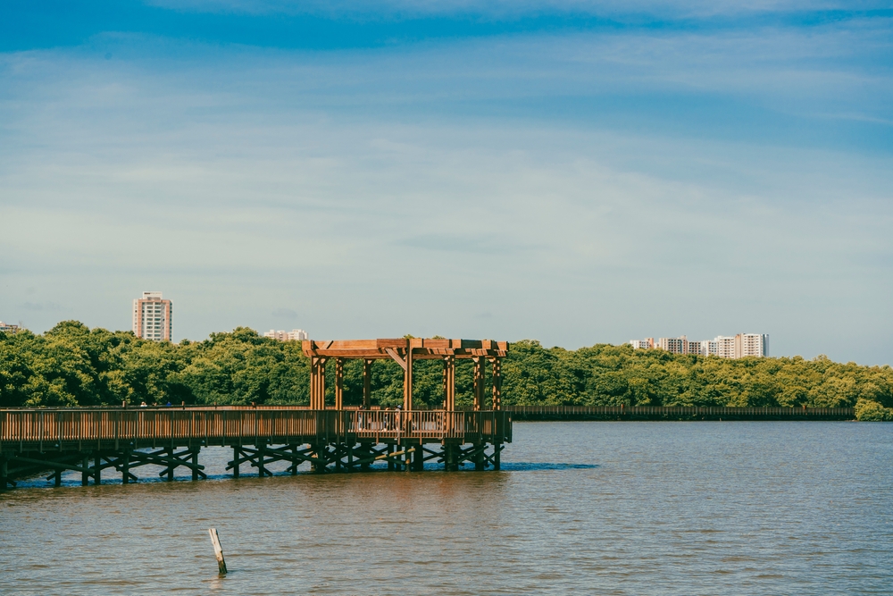 Experiencias en Barranquilla