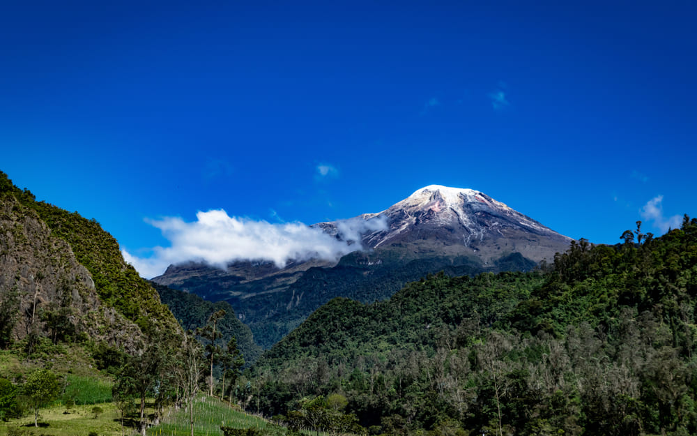 Experiencias en Ibagué