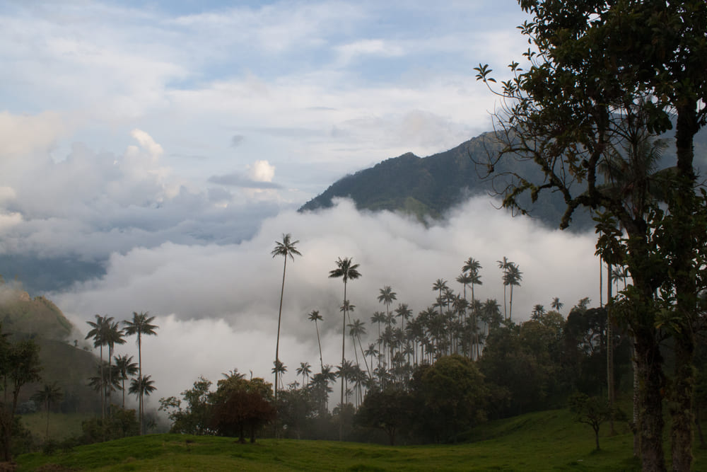 Lugares para visitar en Ibagué