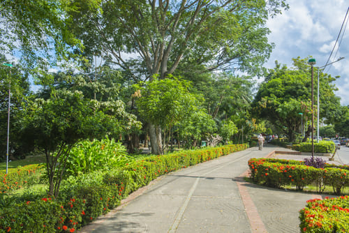 Experiencias en Montería