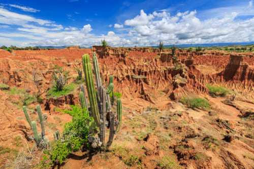 Lugares para visitar en Neiva