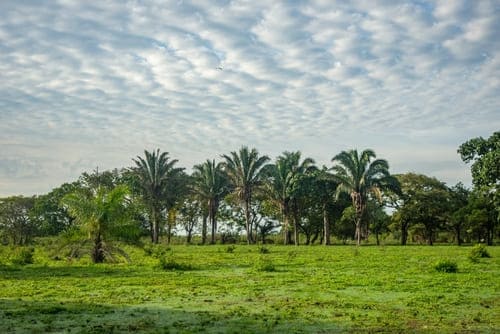 Lugares para visitar en Valledupar