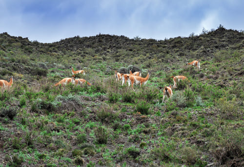 Lugares para visitar en Villavicencio